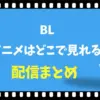 BLのアニメはどこで見れる？見放題サブスクと無料サイト徹底比較
